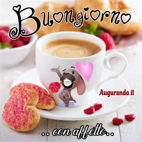 auguri di buon giorno gratis per whatsapp|buon giorno bellissime.